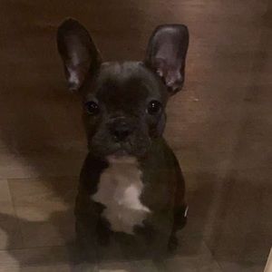 Meet your Posher, Zoe